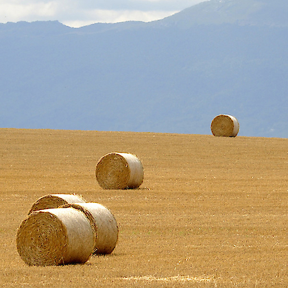 Bild: STRAW / HAY